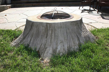 natural looking backyard tree stump fire pit Madison Wisconsin